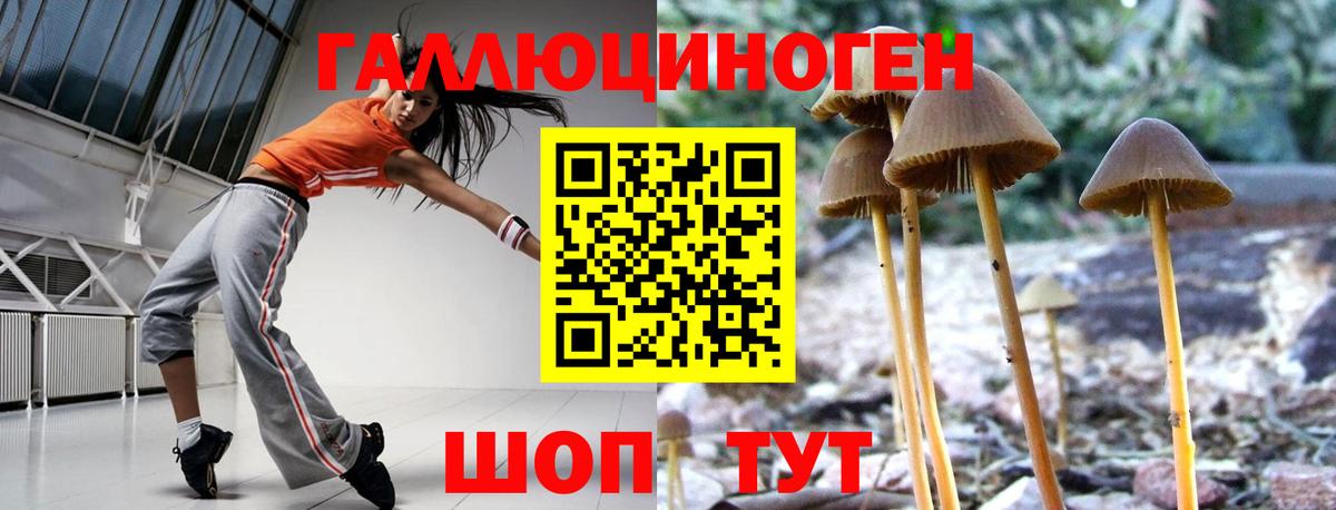 Галлюциногенные грибы ЛСД Куйбышев