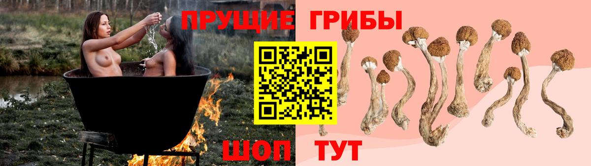 Псилоцибиновые грибы прущие грибы  Вход с VPN  Куйбышев 